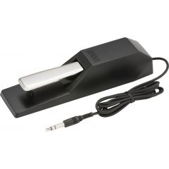 Korg Pédale sustain DS-1H - Vue 1